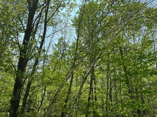 Land for sale in Fontana, Wisconsin