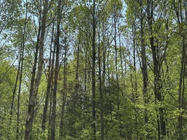 Land for sale in Fontana, Wisconsin