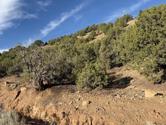 Land for sale in Duchesne, Duchesne County