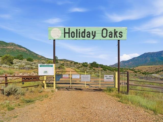 Land for sale in Fountain Green, Utah