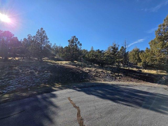 Land for sale in Weed, California