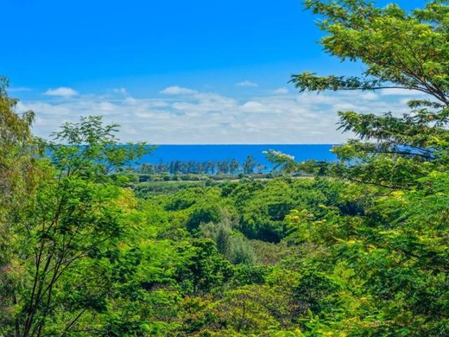Land for sale in Kapaa, Hawaii