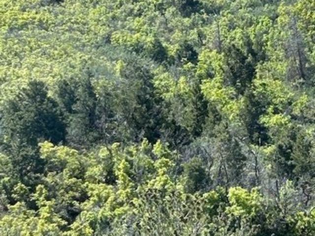 Land for sale in Utah