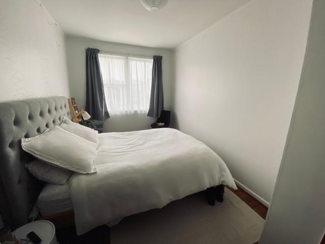 Apartment for rent in Saint Lukes, Albert-Eden