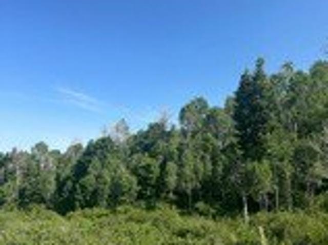 Land for sale in Fairview, Utah