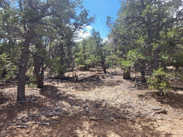 Land for sale in Duchesne, Utah