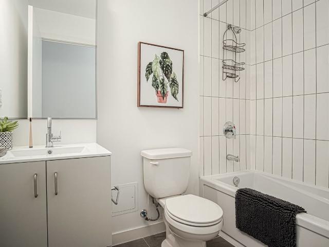 Apartment for rent in Kingston, Ontario