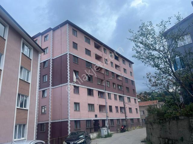 Zonguldak Merkez, Zonguldak içerisinde kiralık mülk
