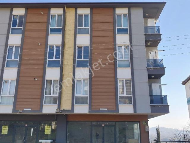 Düzce Merkez, Düzce içerisinde satılık mülk