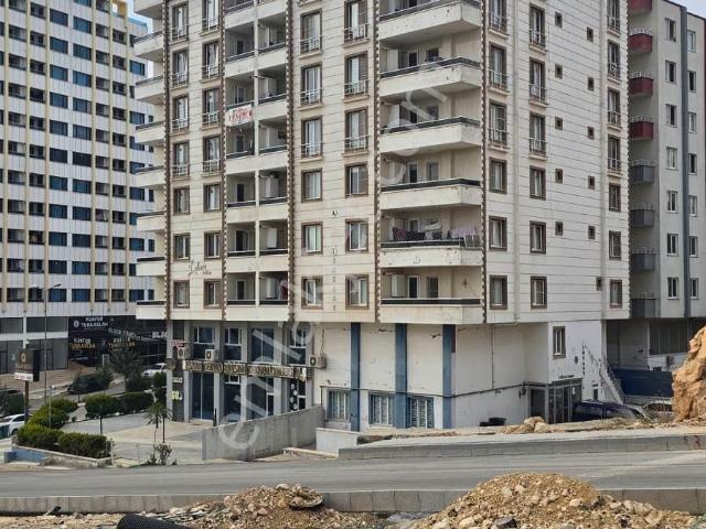 Kilis Merkez, Kilis içerisinde kiralık mülk