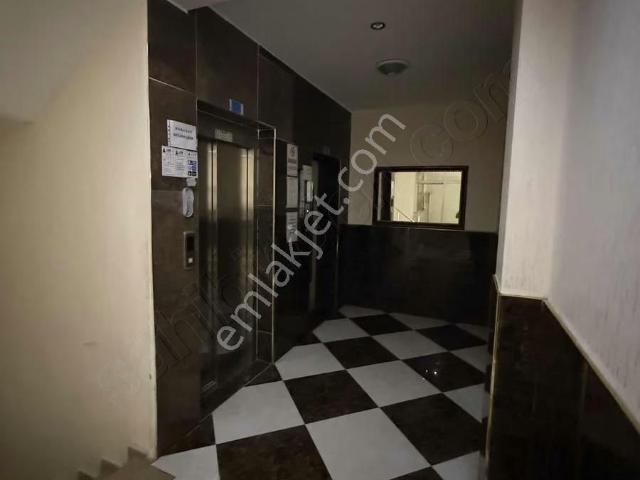 Kilis Merkez, Kilis içerisinde kiralık mülk