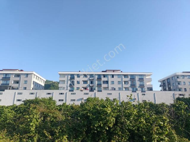 Ordu içerisinde kiralık mülk