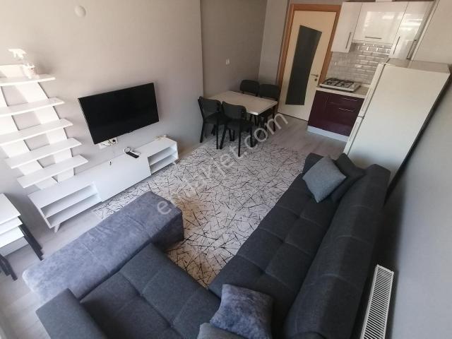 Aydin içerisinde kiralık mülk