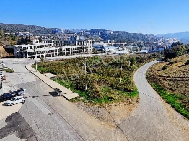 Düzce Merkez, Düzce içerisinde satılık mülk