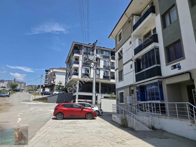 Düzce Merkez, Düzce içerisinde kiralık mülk
