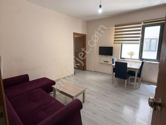 Düzce Merkez, Düzce içerisinde kiralık mülk