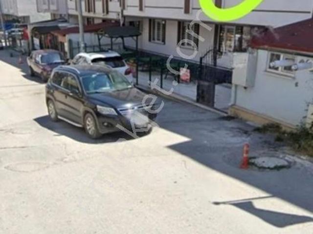 Kastamonu Merkez, Kastamonu içerisinde kiralık mülk