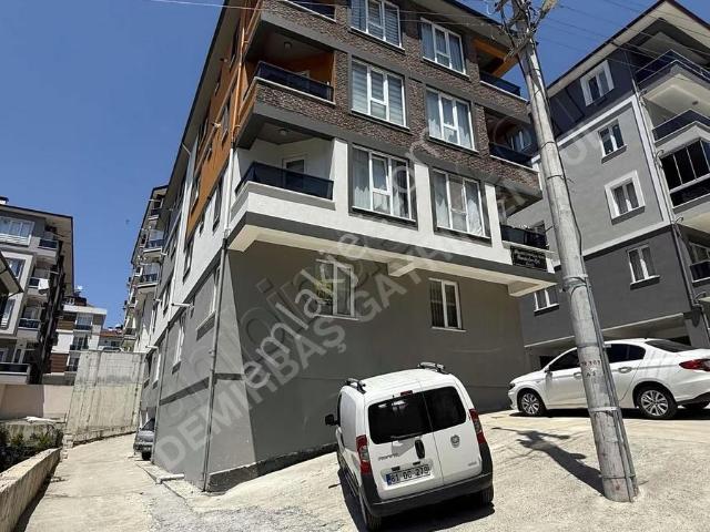 Düzce Merkez, Düzce içerisinde kiralık mülk