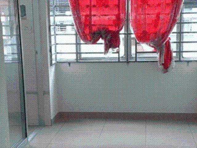 Apartment for rent in Menggatal, Sabah
