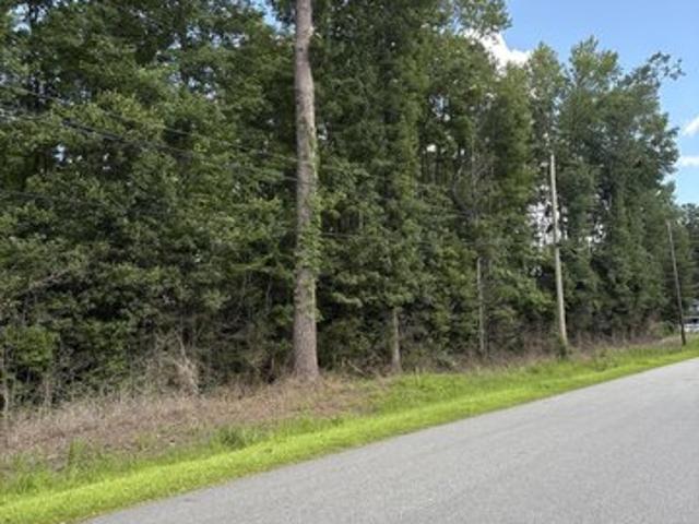 Land for sale in Dorchester, South Carolina