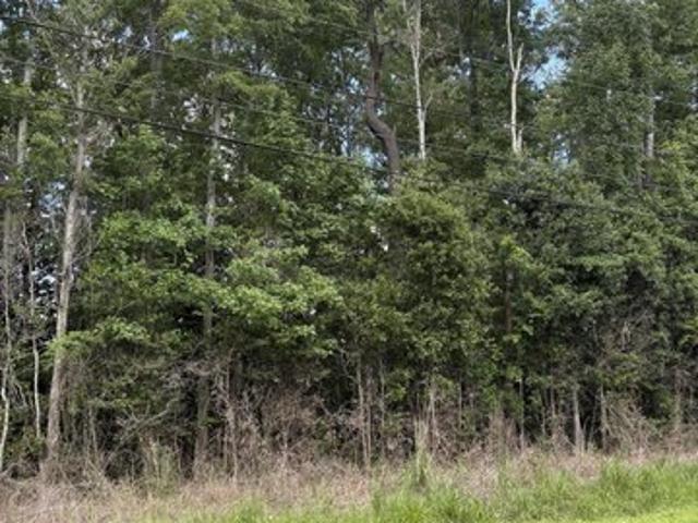 Land for sale in Dorchester, South Carolina