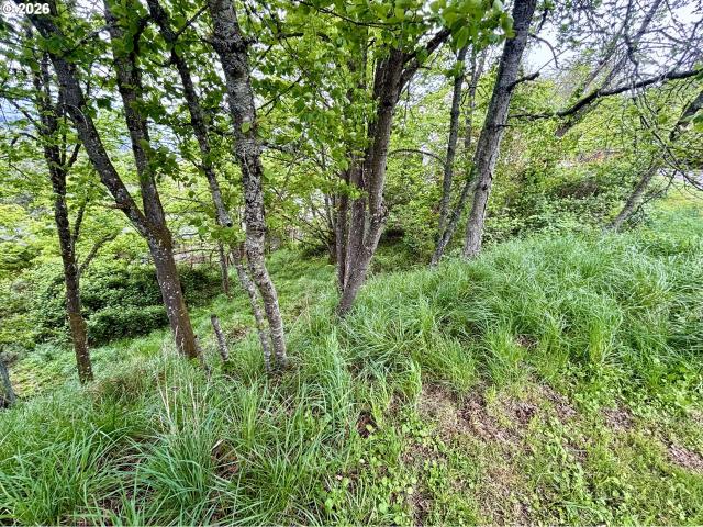 Land for sale in Oregonia