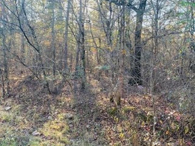 Land for sale in Ark