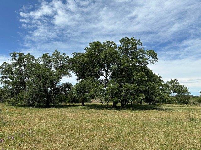 Farm for sale in Bertram, Texas