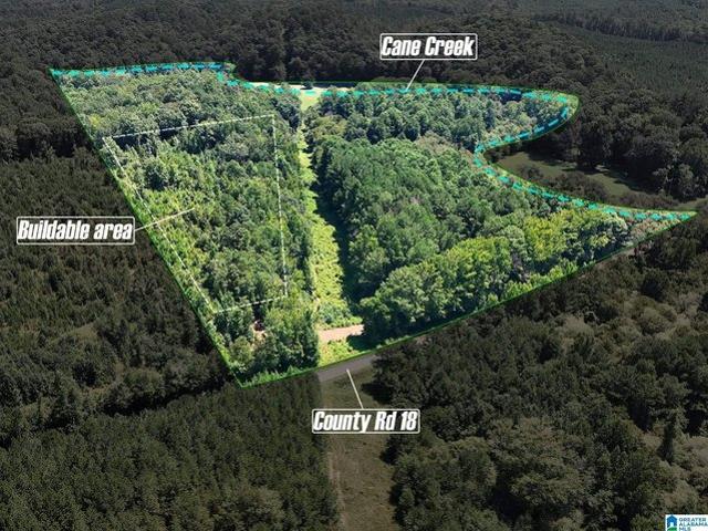 Land for sale in Heflin, Alabama
