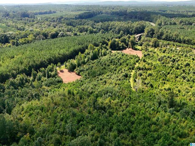 Land for sale in Heflin, Alabama