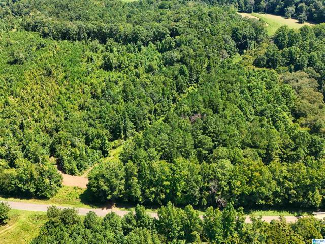 Land for sale in Heflin, Alabama