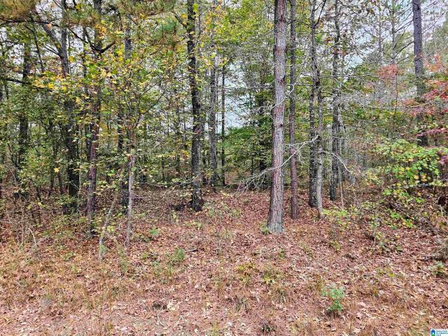 Land for sale in Heflin, Alabama