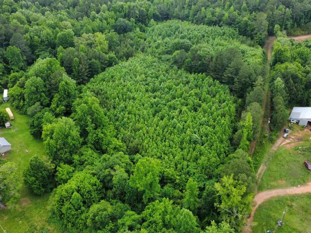 Land for sale in Heflin, Alabama
