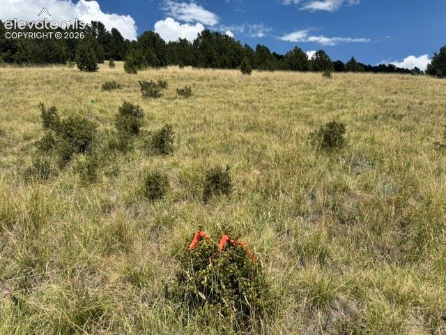 Land for sale in Teller, Colorado
