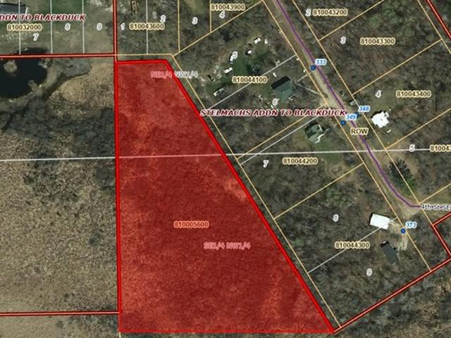 Land for sale in Beltrami, Minnesota