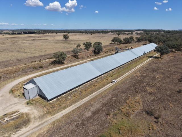 Cottage for sale in Delungra, New South Wales