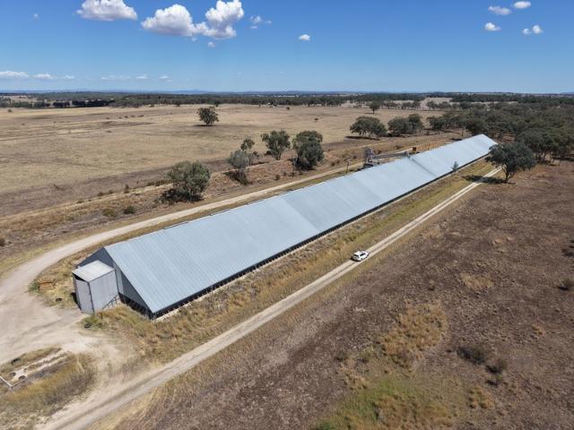 Property for sale in Delungra, New South Wales