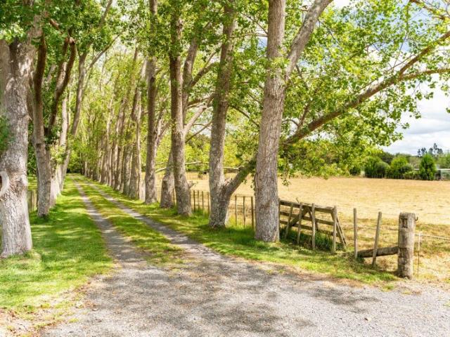 Land for sale in Whangarei, Northland