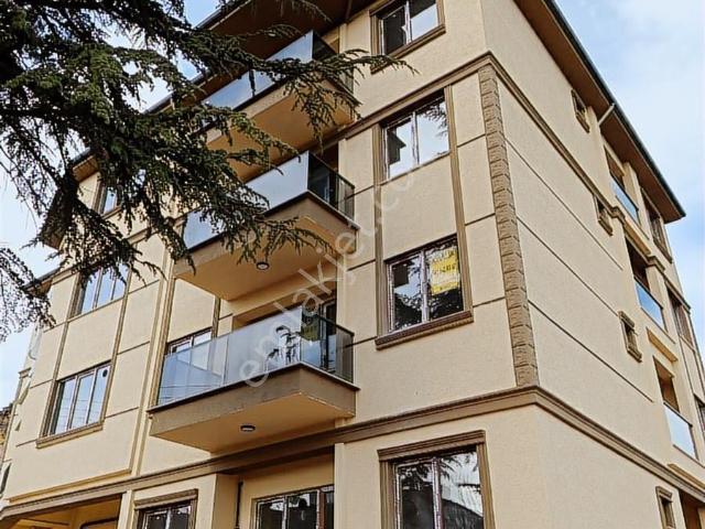 Kastamonu Merkez, Kastamonu içerisinde kiralık mülk