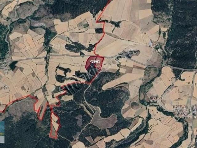 Kastamonu Merkez, Kastamonu içerisinde satılık Fabrika