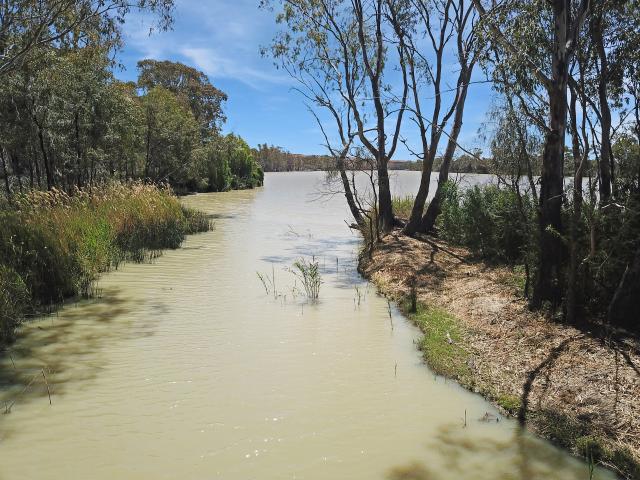 Property for sale in McBean Pound, Mid Murray Council