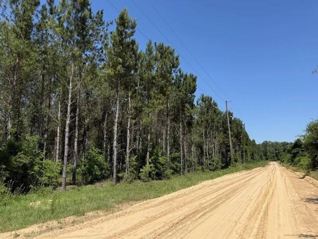 Land for sale in Colquitt, Miller County