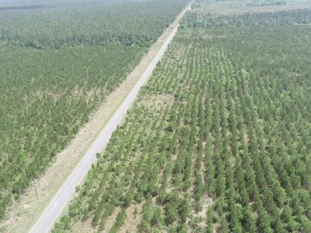 Land for sale in DeQuincy, Calcasieu Parish