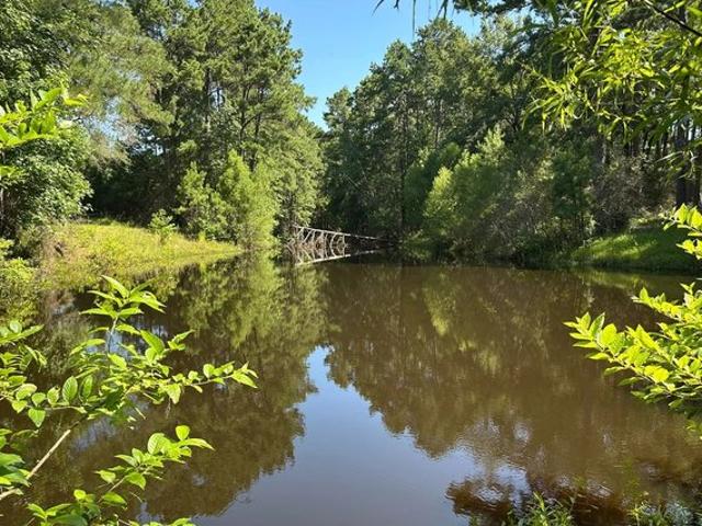 Land for sale in Diboll, Texas