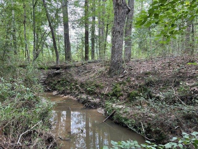 Land for sale in Hemphill