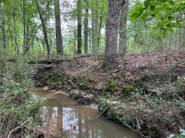 Land for sale in Sabine, Texas