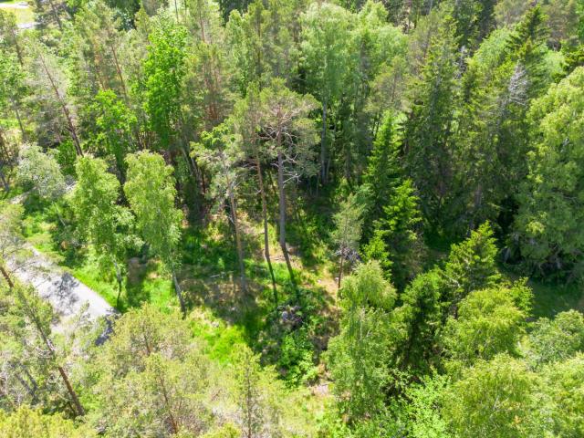 Tomt till salu i Östhammar, Uppsala