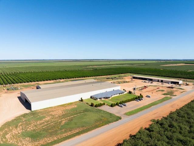 Cottage for sale in Murtho, South Australia