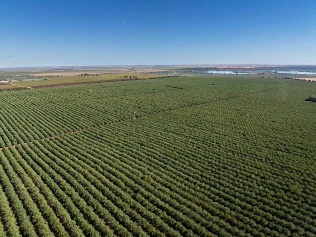 Property for sale in Cullulleraine, Victoria
