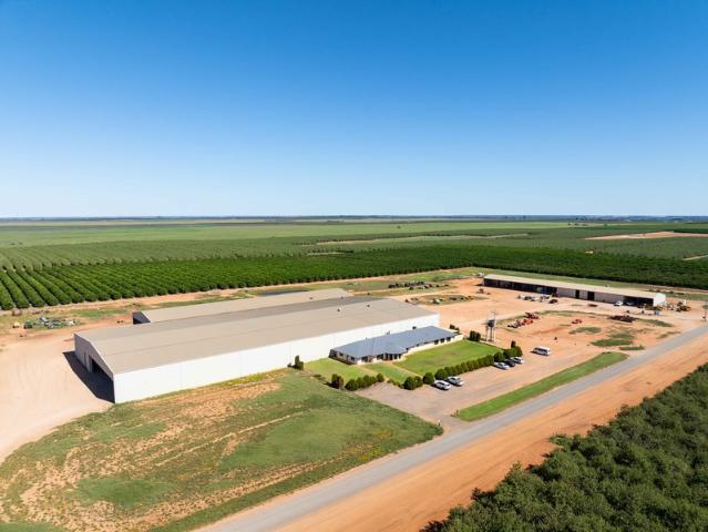 Property for sale in Murtho, South Australia